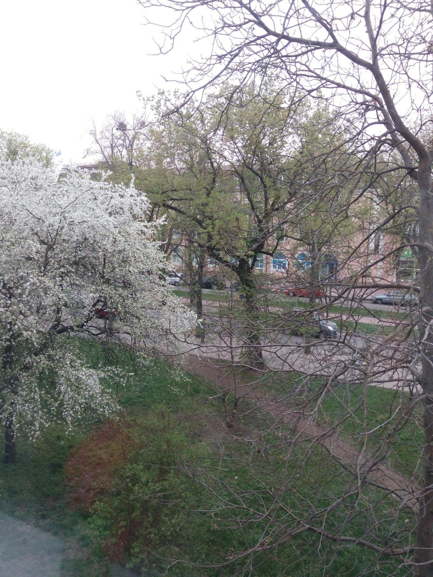 Квартира Студія В Центрі Міста Філармонія Khmelʼnytsʼkyy Exterior foto
